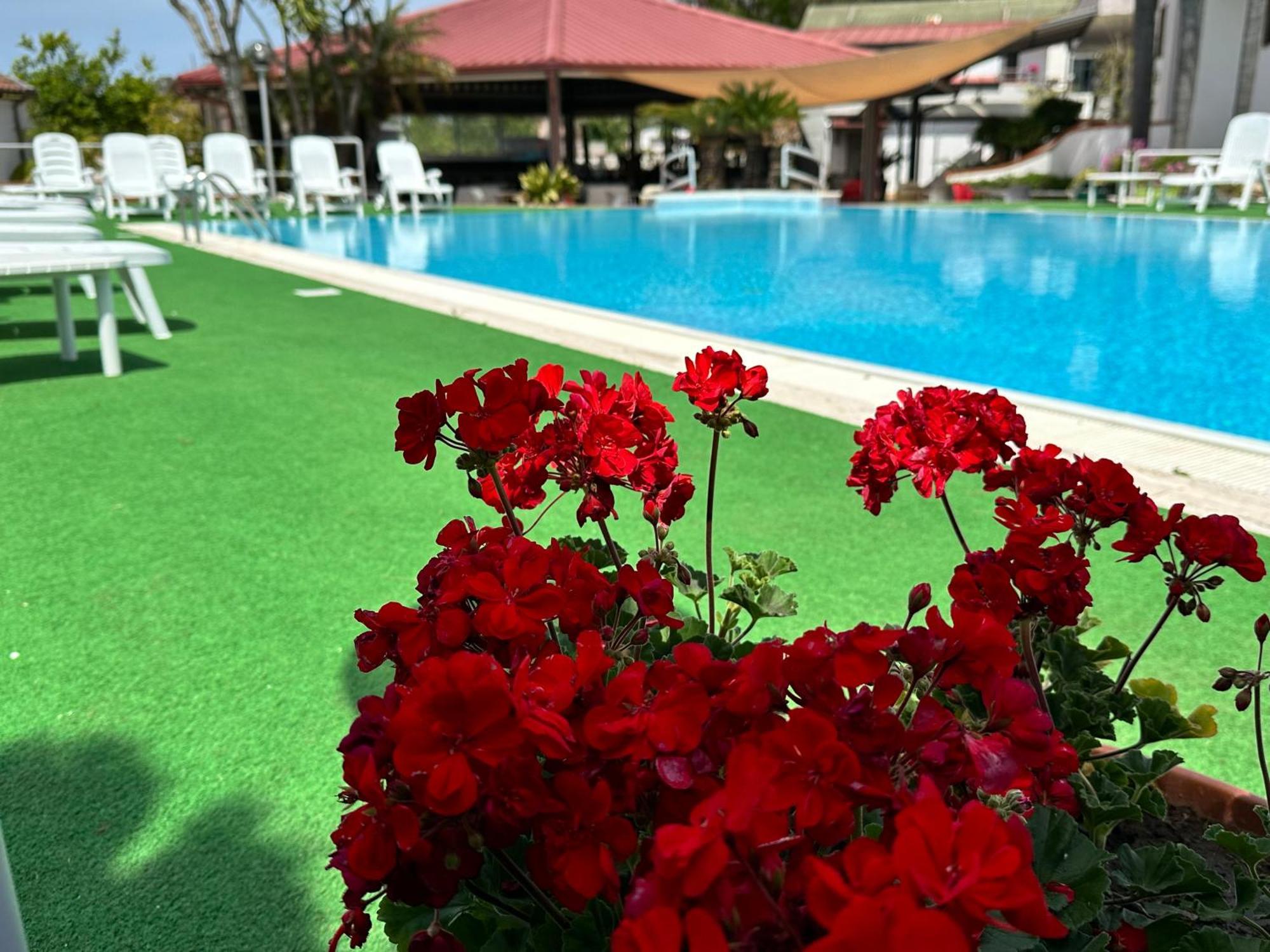 Hotel B&B Marina カプチオ・パエストゥム エクステリア 写真