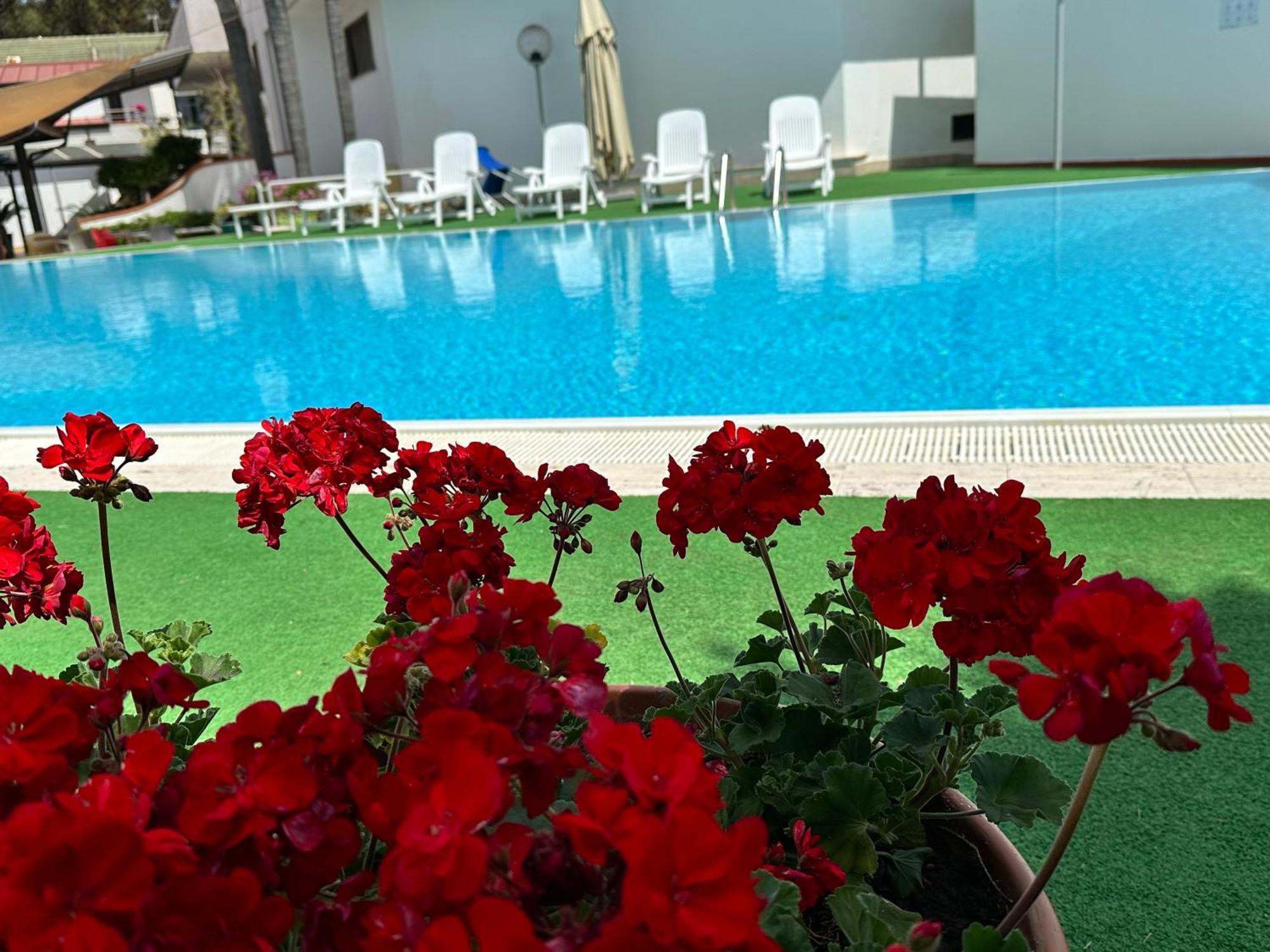 Hotel B&B Marina カプチオ・パエストゥム エクステリア 写真